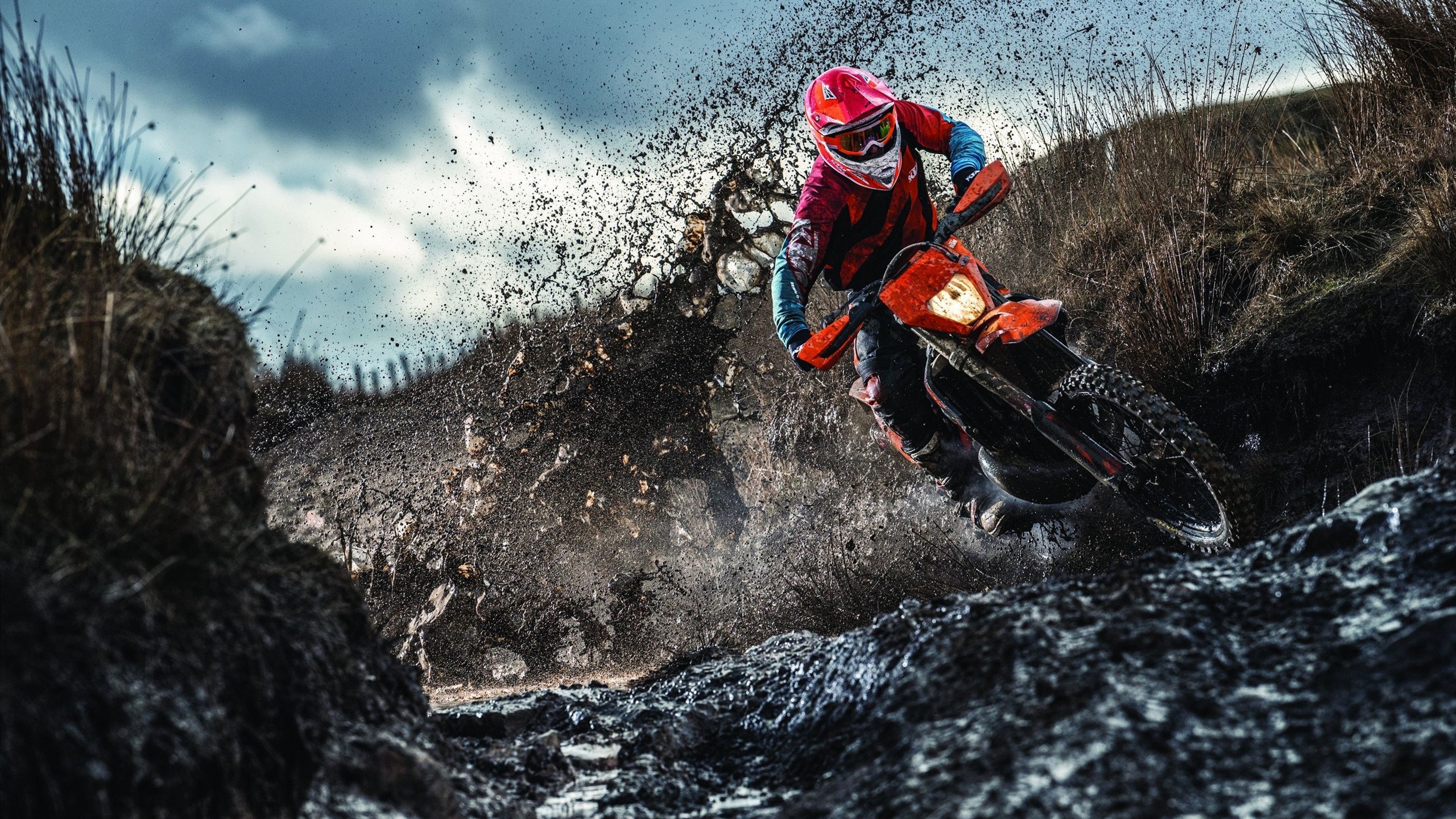 2024年国际乒联混合团体世界杯：瑞典团队的全新战术，瑞典世界乒乓球赛